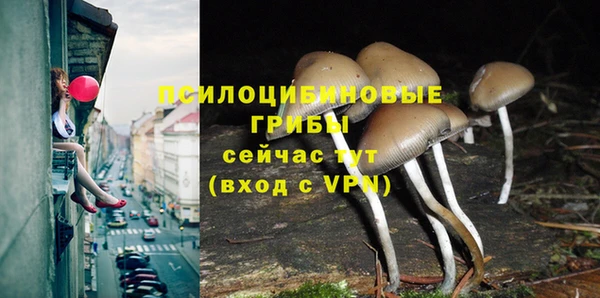 тгк Покровск
