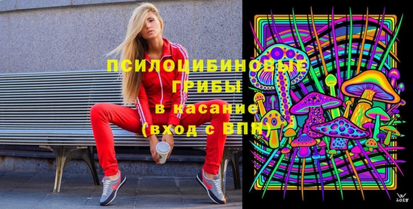 PSILOCYBIN Киренск